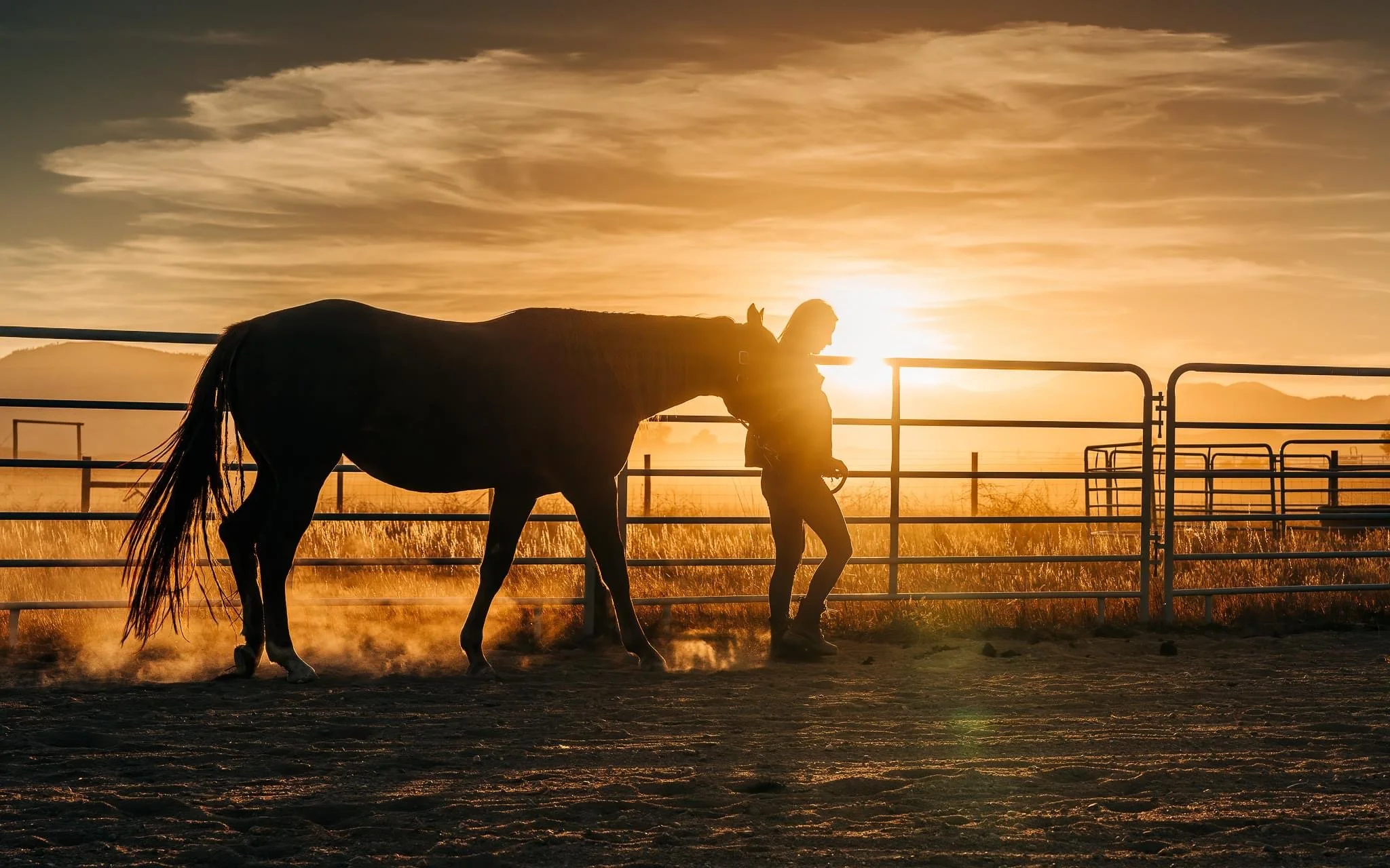 Nicole leading a horse through golden Colorado light at sunset